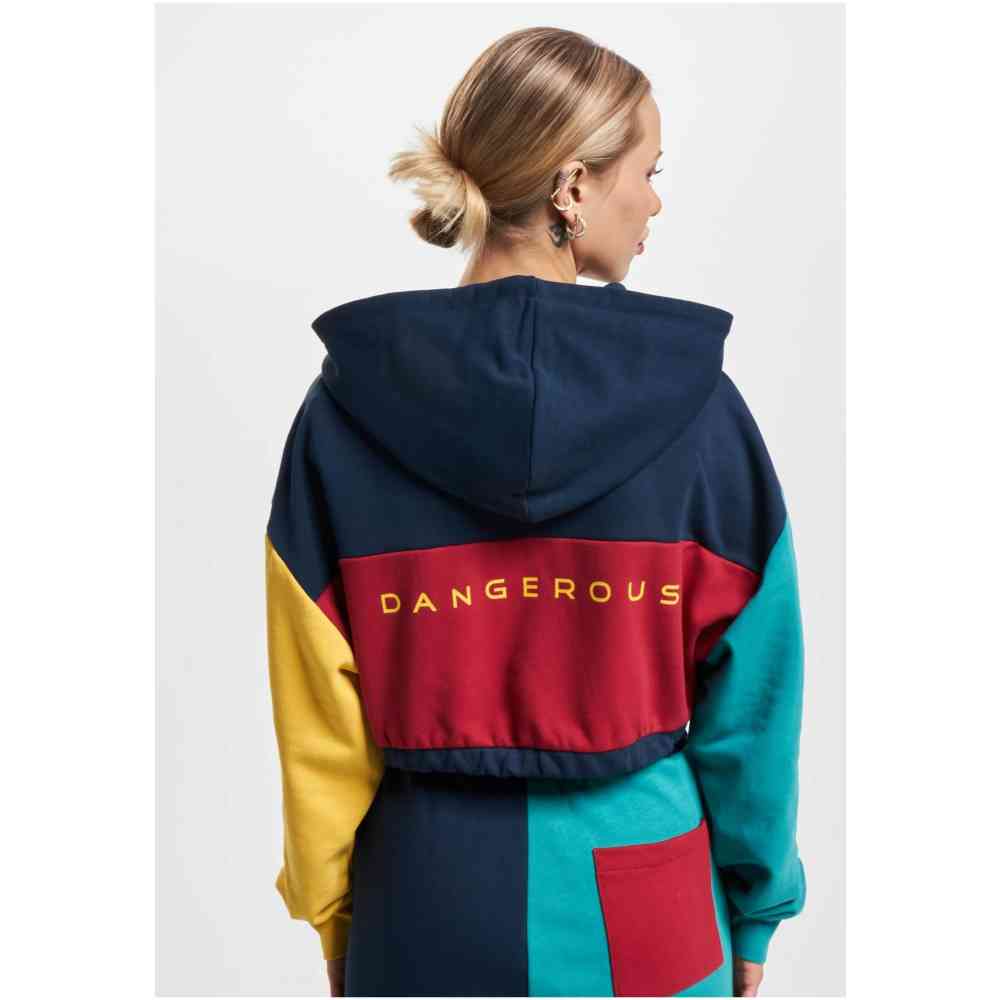 Dangerous DNGRS - 4C Hoodie/trui - Multicolours